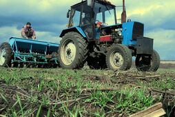 Из уклонистов и сэзэчешников - в "рабы"