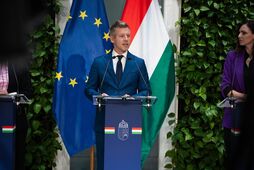 Венгерский пример заразителен